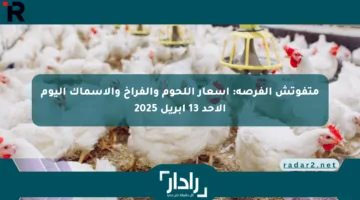 متفوتش الفرصة: أسعار اللحوم والفراخ والأسماك اليوم الأحد 13 أبريل 2025